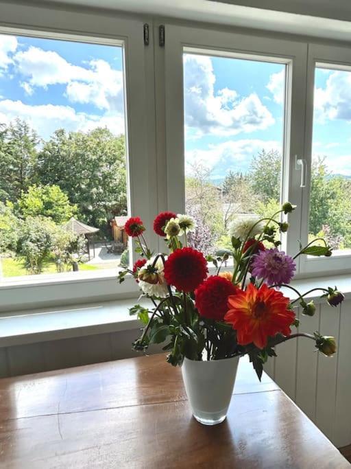 Sonnige Wohnung Am Lindenberg Lohfelden Kültér fotó